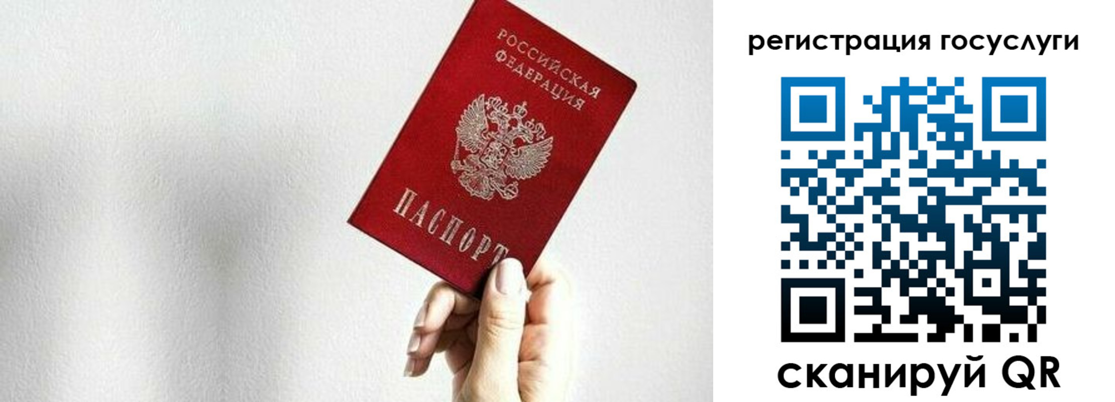 прописка гарантия в Шимановске